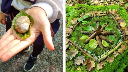 Collage aus vier Bildern: Schüler:innen der Klasse Lebensstark (SRH SHS Bad Wimpfen) verbrachten einen Tag im Wald.