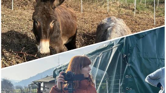 Die Projektgruppe „Esel“der SRH SHS betreut die beiden Esel Elda & Gillo. Hier auf dem Foto zu sehen, gemeinsam mit der Kollegin für Presse & Öffentlichkeitsarbeit der SRH Schulen GmbH