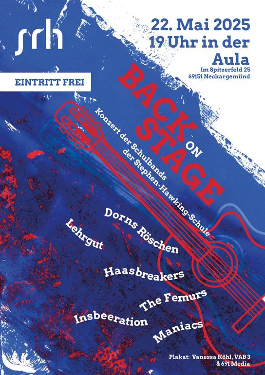 Abstraktes Bild mit Blau- und Rottönen zeigt Umrisse einer Gitarre sowie die Bandnamen.