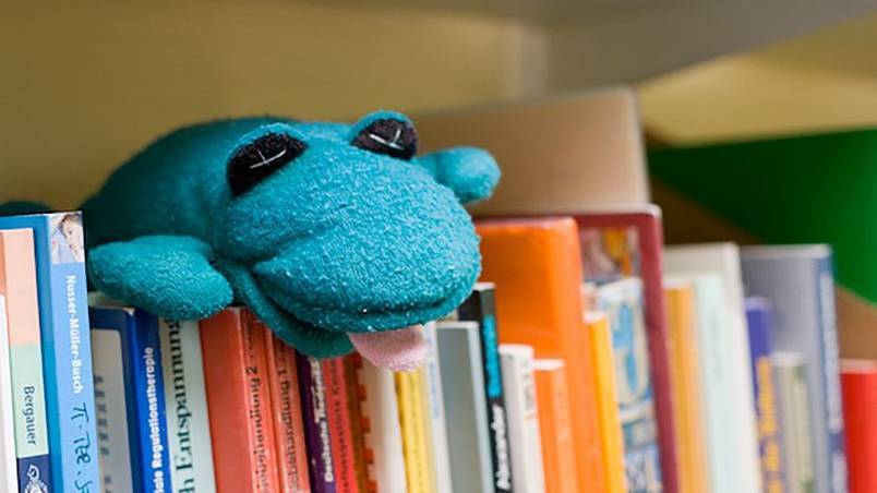 Handpuppe liegt auf Fachbüchern in einem Bücherregal.