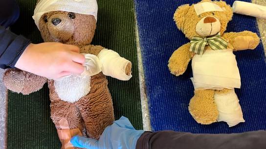 Zwei Teddybärsen werden verarztet mit Pflastern und Verbänden.